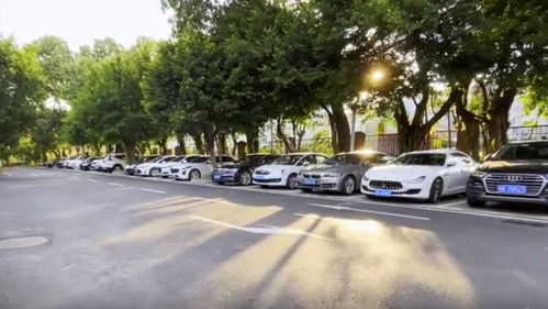 深圳開啟“柜臺辦”便捷服務(wù)新時代